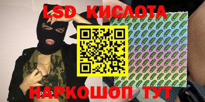 гидра Славгород