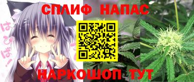 гидра Славгород