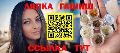 гидра Славгород
